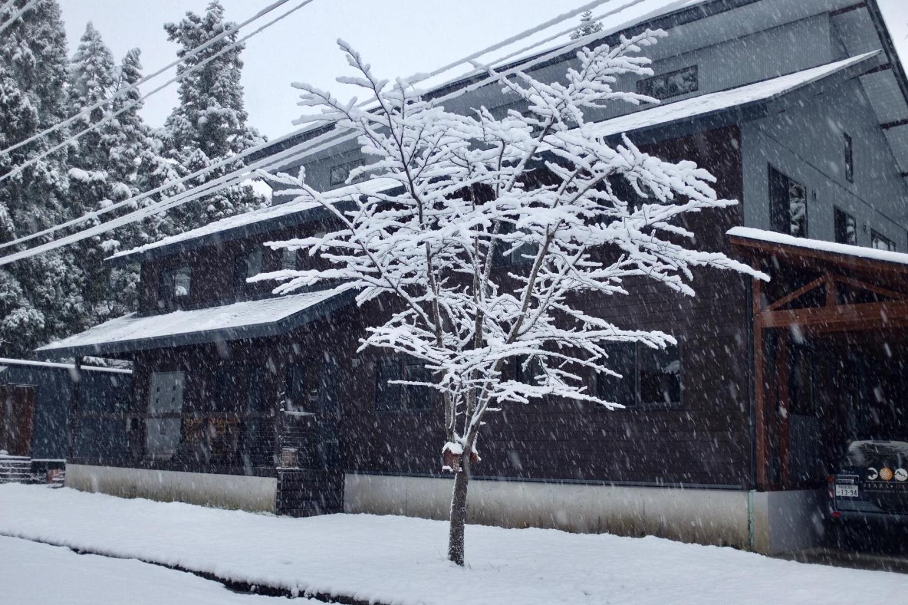 Bears Den Mountain Lodge Hakuba Dış mekan fotoğraf