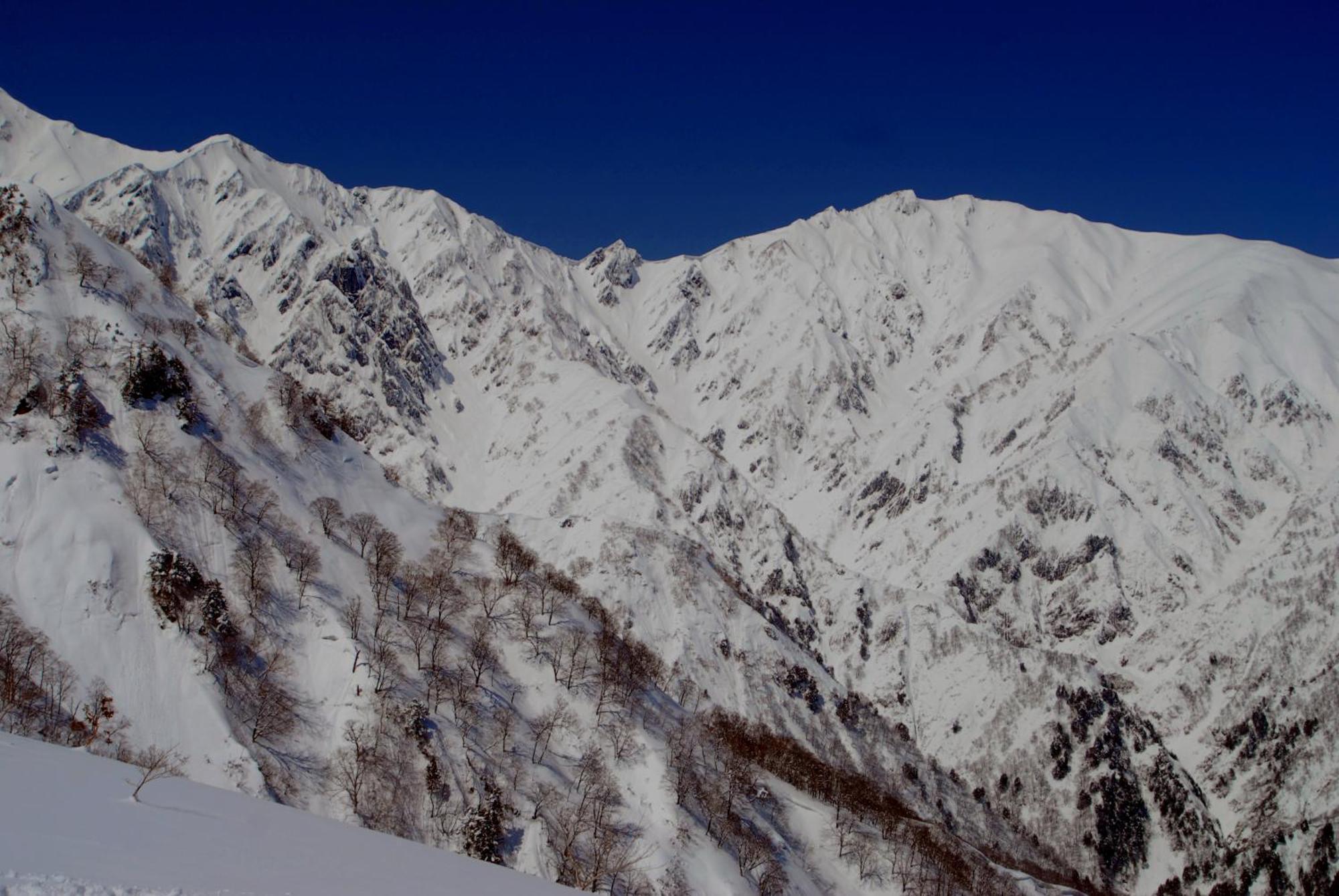 Bears Den Mountain Lodge Hakuba Dış mekan fotoğraf