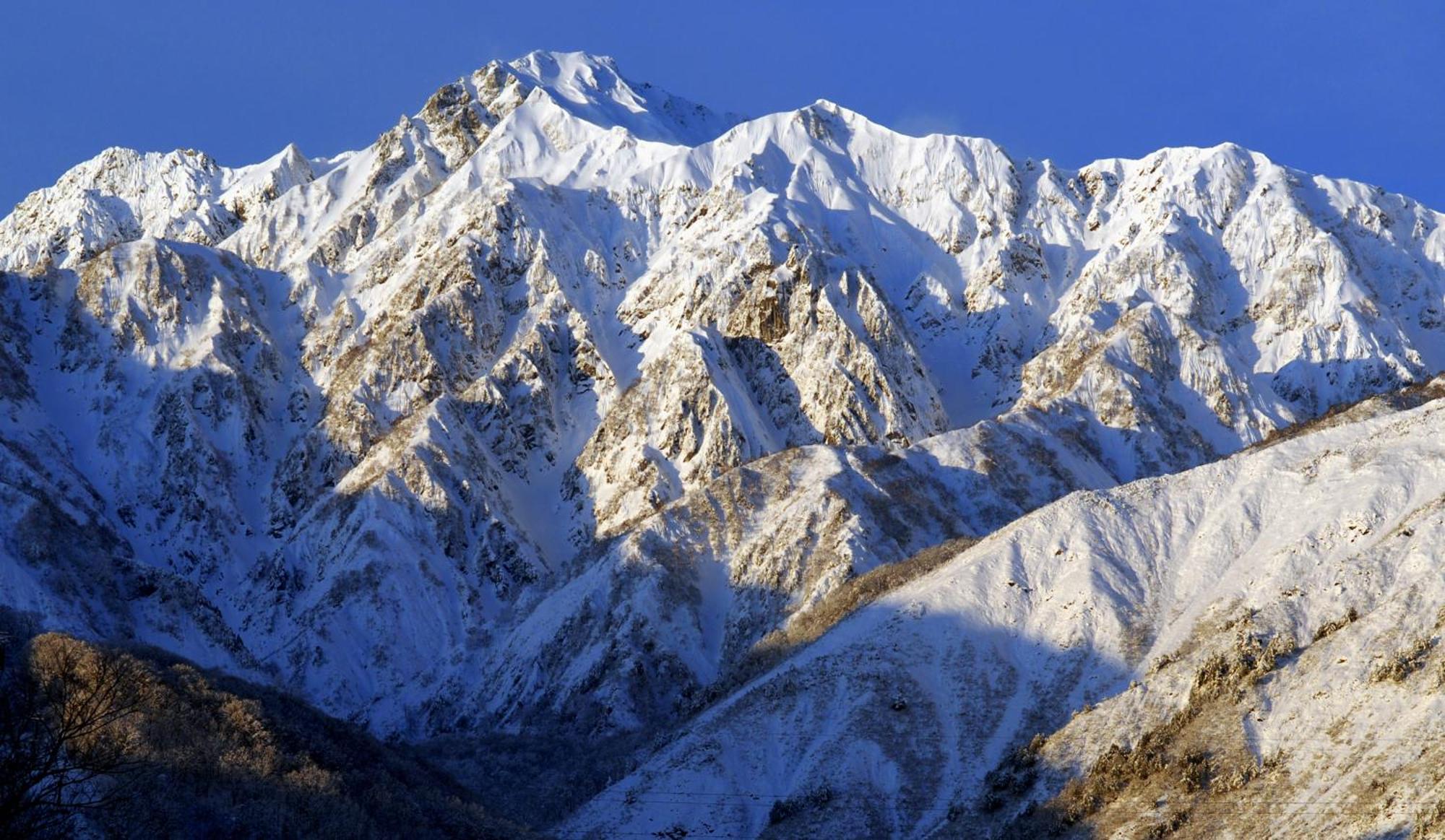 Bears Den Mountain Lodge Hakuba Dış mekan fotoğraf