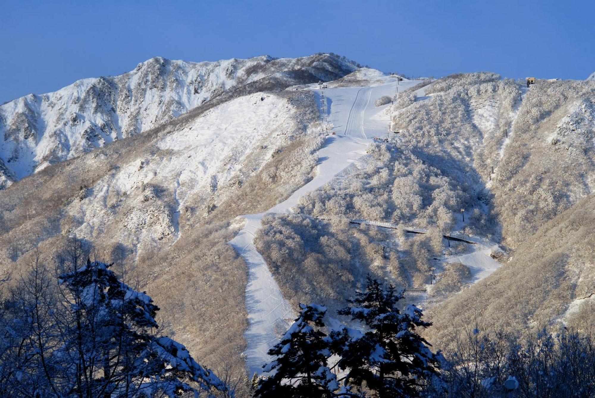 Bears Den Mountain Lodge Hakuba Dış mekan fotoğraf